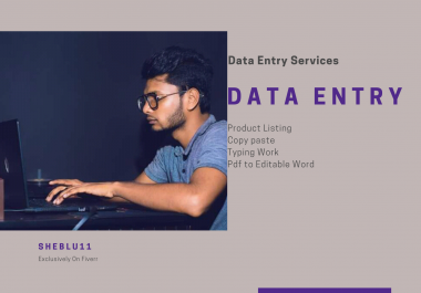 I will do Online or Ofline Data Entry, Copy and Paste Work for you