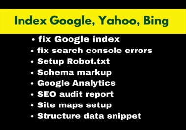 Professionally google index your website and pages.