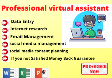 I will do Professional your virtual assistant for web research and data entry.