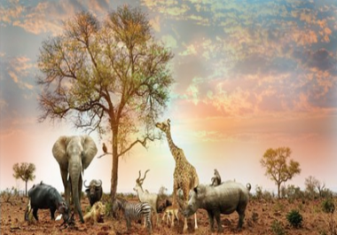 There are articles about animals and each article is 1000 words