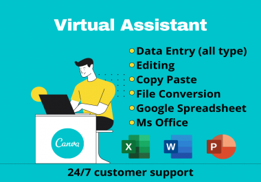 I will be your 1 day virtual assistant for any type of data entry work