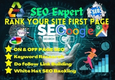 Rank your Website Google 1st Page with On Page and Off Page SEO