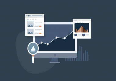 We offer Web Traffic Service to medium and advanced users