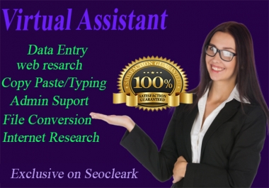 I will be Administrative Virtual Assistant.