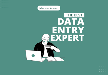 I will provide best data entry,  data coversion services