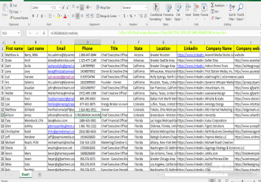 I will do fast data entry and leaad generaton