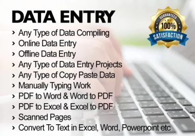 I Will do Data Entry,  Copy Paste,  PDF To Convert any data type Word,  Excel