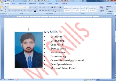 I will do data entry,  web research,  copy paste,  email scrape,  excel data entry