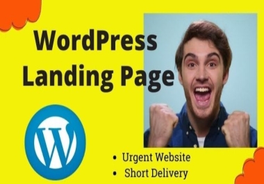 I will fix bug and redesign landing wordpress website
