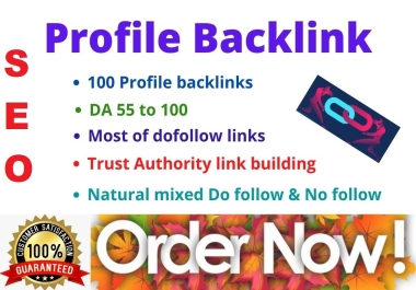 I Will Create 100 Profile Backlinks For your website