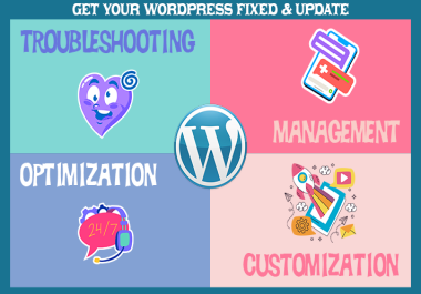 I will troubleshoot your wordpress website