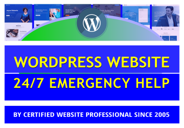 Fix one critical issue or do one hour WordPress website maintenance tasks