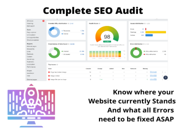 I will do SEO audit of your website