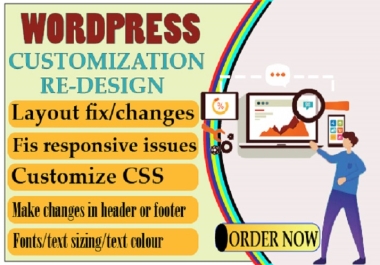 I will develop or customize wordpress plugin
