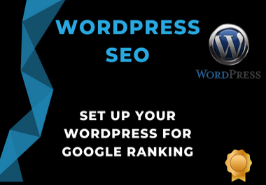 I will set up your wordpress SEO