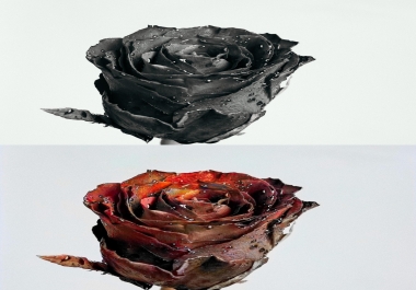 Colorize and enhance your photos