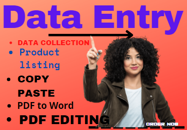 I will do copy-paste,  convert PDF files & provide data entry services.