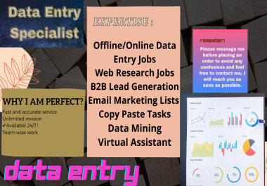 I will do data entry,  typing work,  copy paste and be your virtual assistant