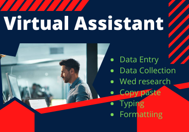 I will do data entry,  excel data entry,  web research,  copy paste for you.