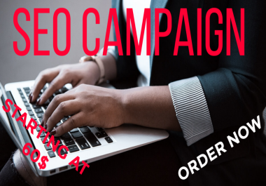 I will do a full SEO campaign for your website