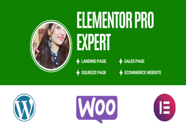 I Will design your WordPress Website with Elementor pro
