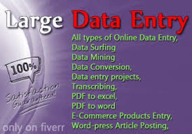 i will do data entry and copy past and translation expect