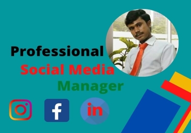 Professional Digital Marketing Manager and Ads campaign for all social media to your business. for