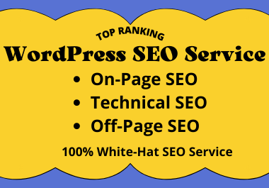 I will provide monthly SEO service for WordPress websites