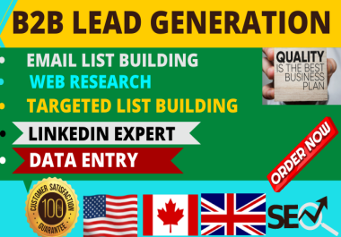 I will provide b2b lead generation and data entry 200 for your business targeted list building
