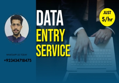 Data Entry,  Data Scrapping Data Mining,  Data Extracting