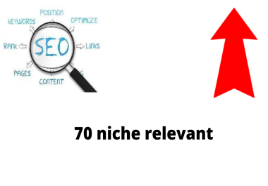 I will do 70 niche relevant links blog comment to rank your website