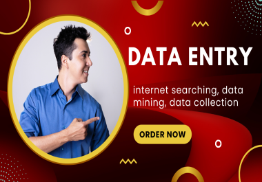 I will do data entry,  data mining,  typing excel,  internet research and copy paste