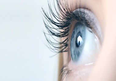 I will top 350 USA local citations and directory submission for local seo