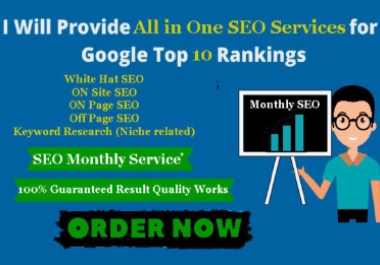 I will provide all in one monthly SEO service