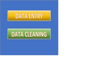 We do Data Entry and Data Analysis work