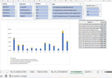 I will do excel formatting,  formulas,  pivot tables,  and power query