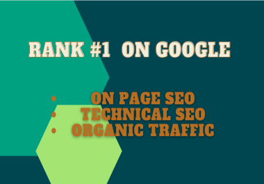 I will do onpage pro SEO of any websites
