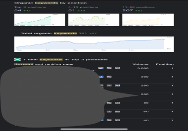 Get your keywords on top of Google Search SEO Rank on 1st Page of Google