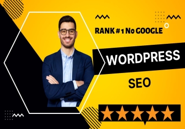 I will do on page SEO,  technical onpage optimization service of wordpress website