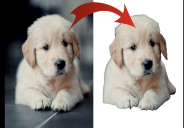 I will remove 100 background images just 5 hours