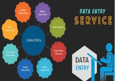 I can do any type of data entry work in short time