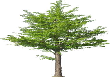 I can remove perfectly your photo background