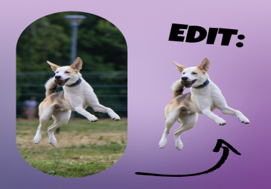 Background Remover,  Instant Delivery and Maximum Precision