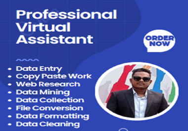 Professional Virtual Assistant Service