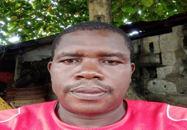 Introducing an amazing article and content writer - professional,  adheres to international standards