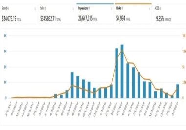 I will optimize your Amazon PPC campaign ads to get sales