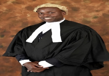 I will professionally draft an operating agreement