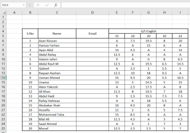 I will do data entry,  web data scraping,  email list and data conversion in excel,  sheet