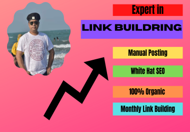 I will do white Hat SEO Link building Manual Service for your Business