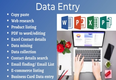 I will do excel data entry,  data collection,  web research,  copy paste,  data entry